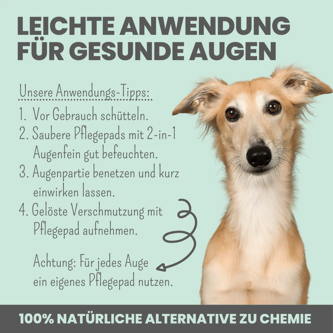 Vorschaubild 7