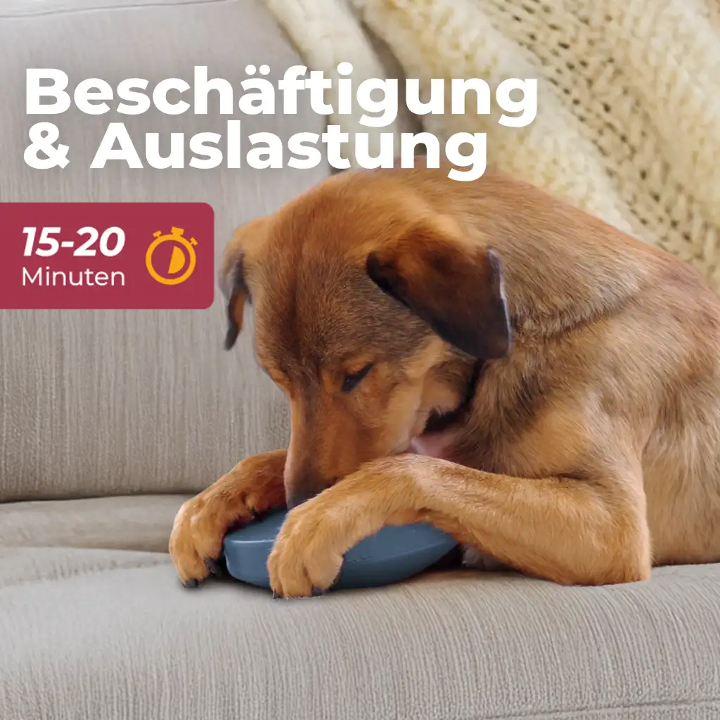 Vorschaubild 12