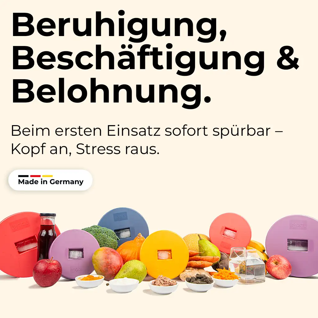 Vorschaubild 5