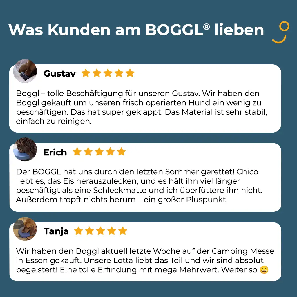 Vorschaubild 9