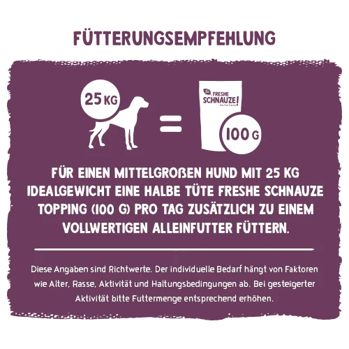 Vorschaubild 10