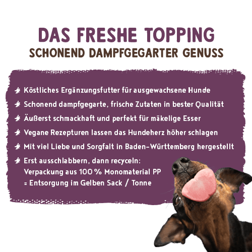Vorschaubild 8