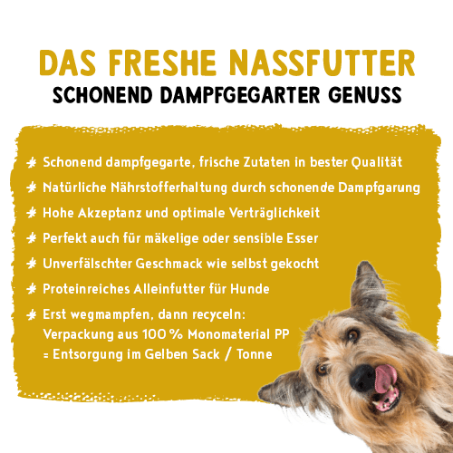 Vorschaubild 7