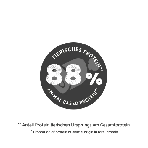 Vorschaubild 12