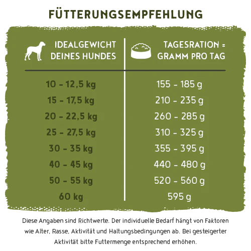 Vorschaubild 8