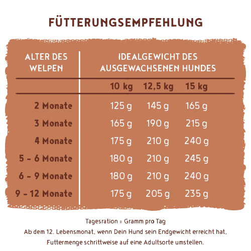 Vorschaubild 8