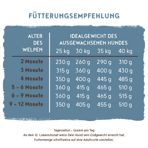 Vorschaubild 6