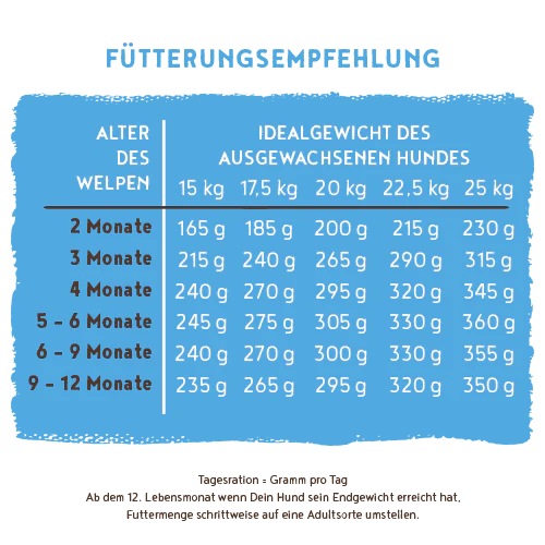 Vorschaubild 6