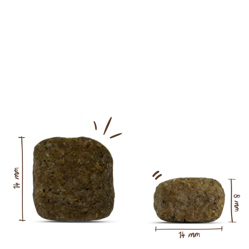 Vorschaubild 7