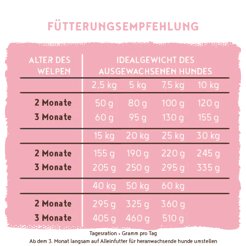 Vorschaubild 6