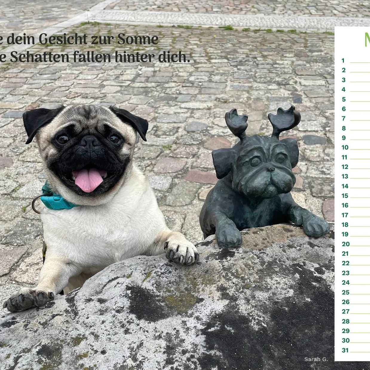 Vorschaubild 4