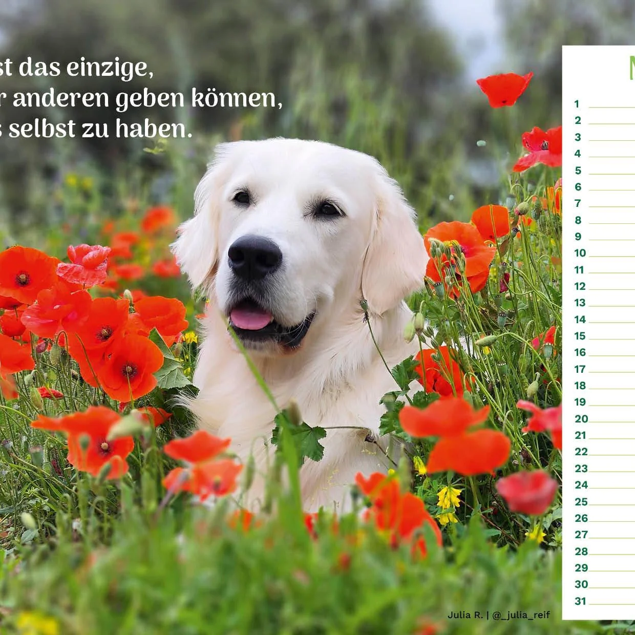 Vorschaubild 6