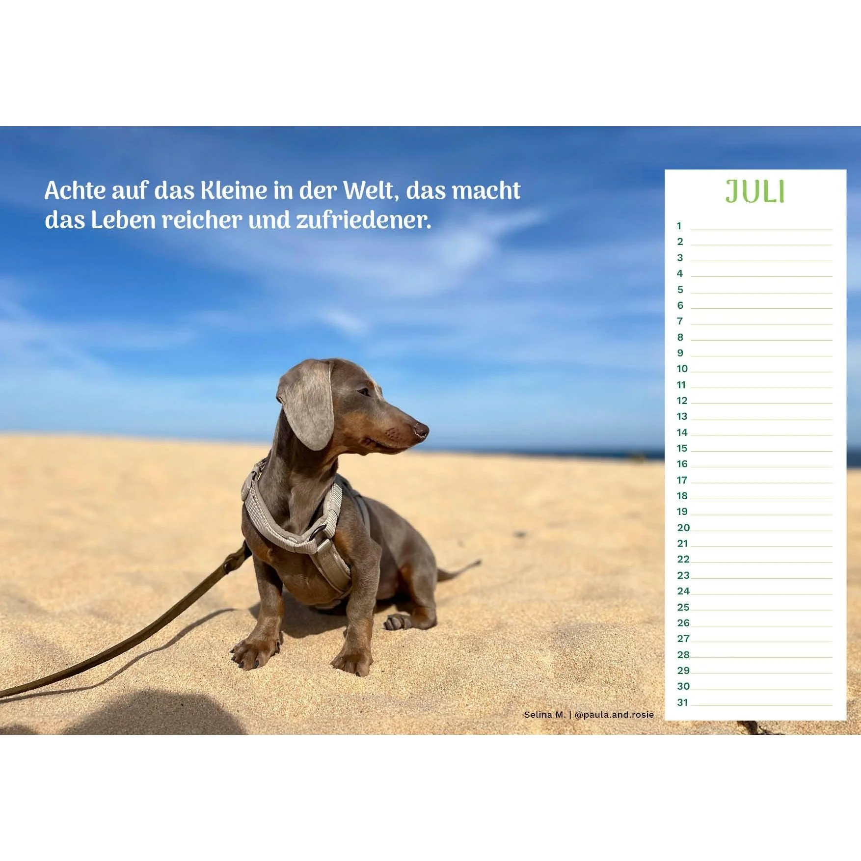Vorschaubild 8