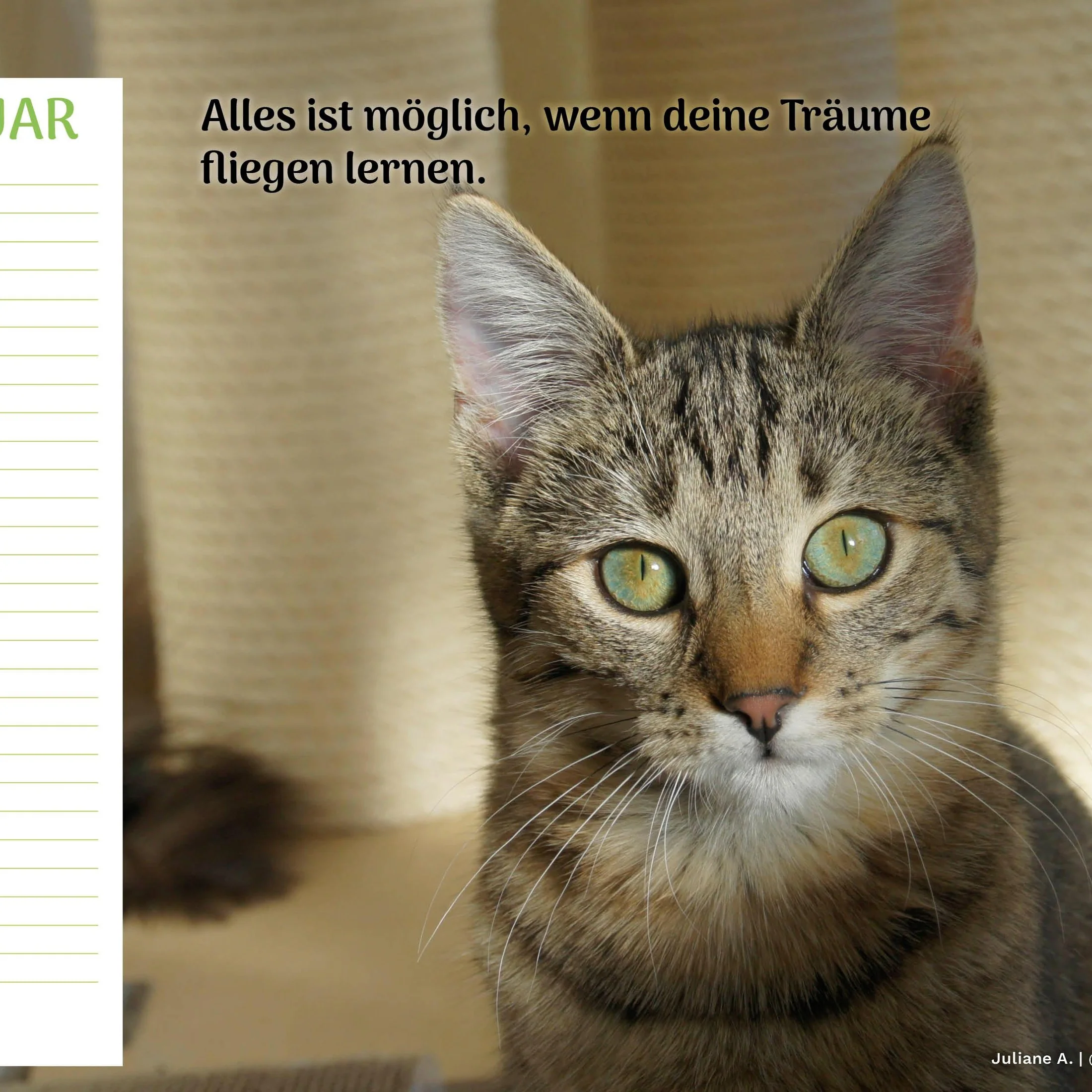 Vorschaubild 3