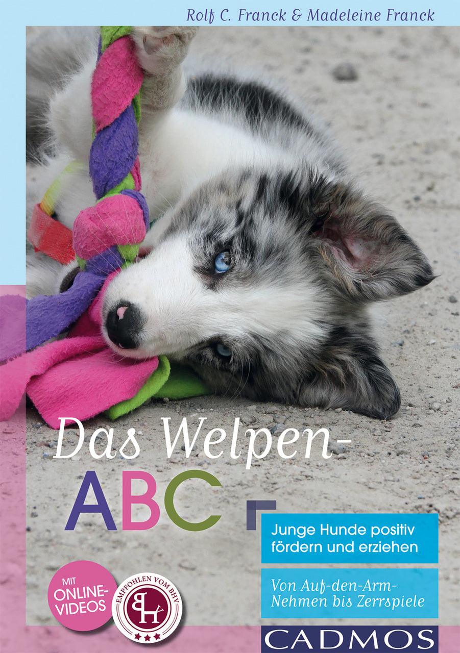 Vorschaubild 1