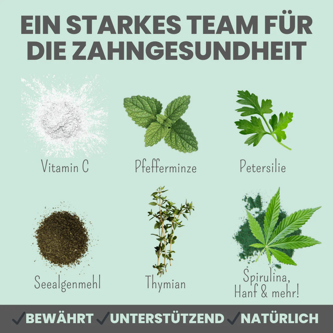 Vorschaubild 5