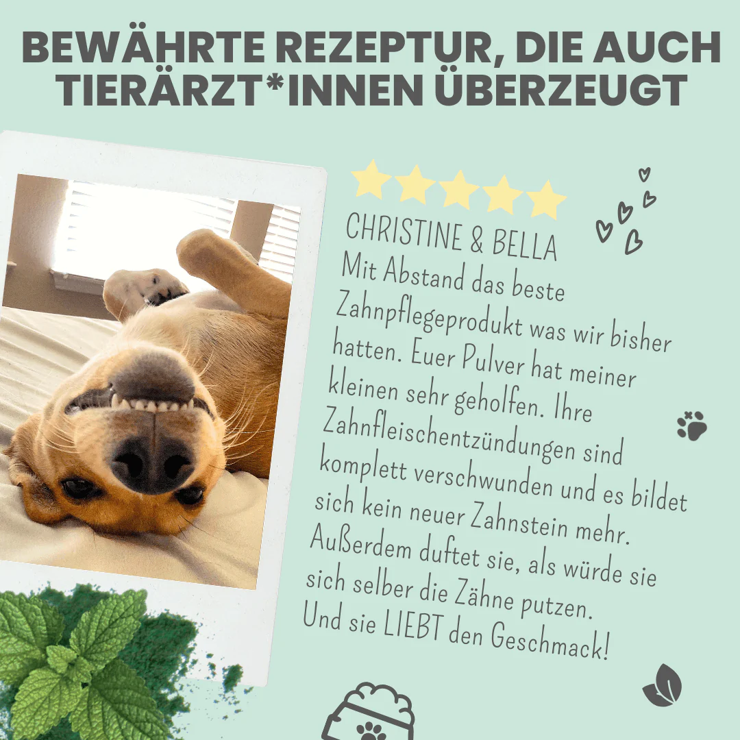 Vorschaubild 7