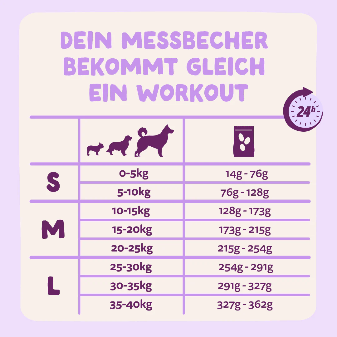 Vorschaubild 10