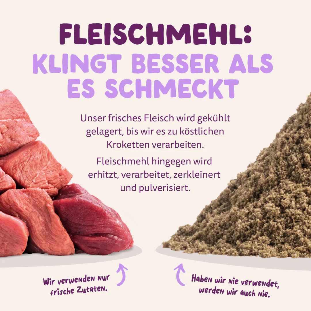 Vorschaubild 12