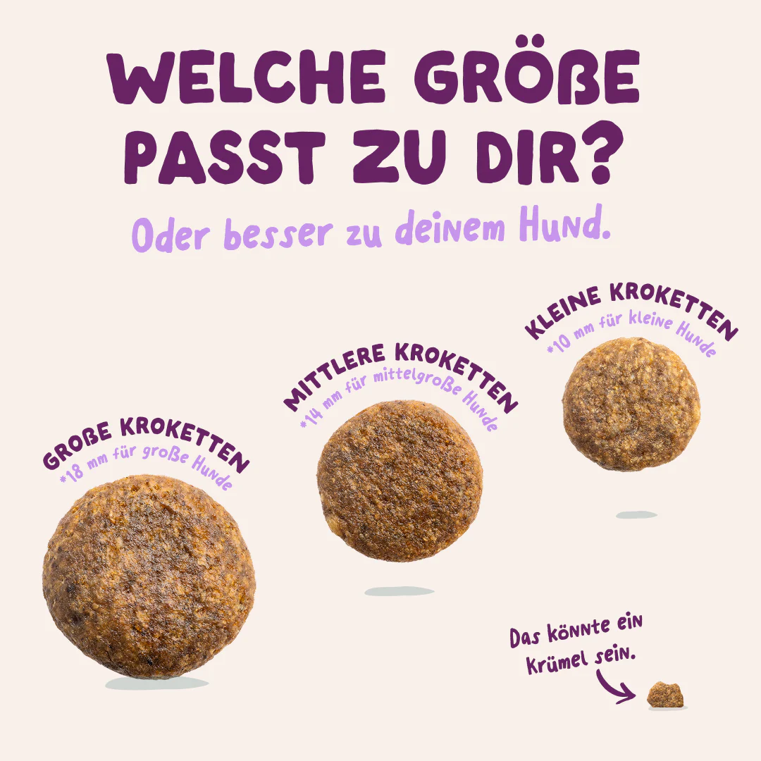 Vorschaubild 8