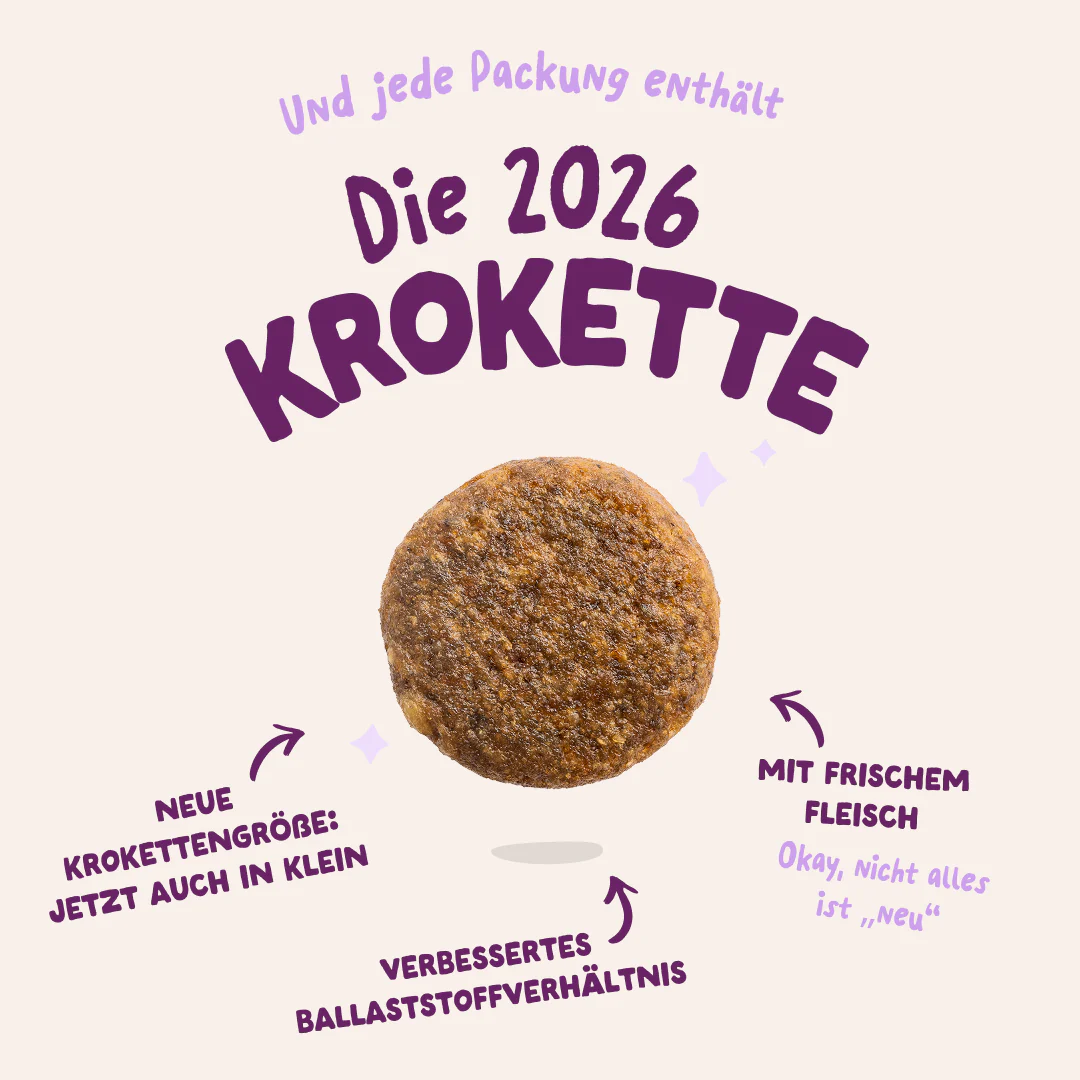 Vorschaubild 6