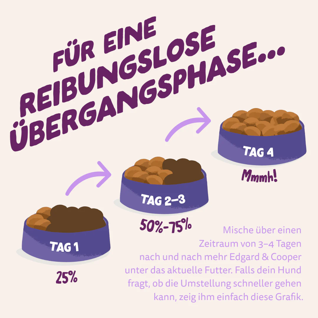Vorschaubild 7