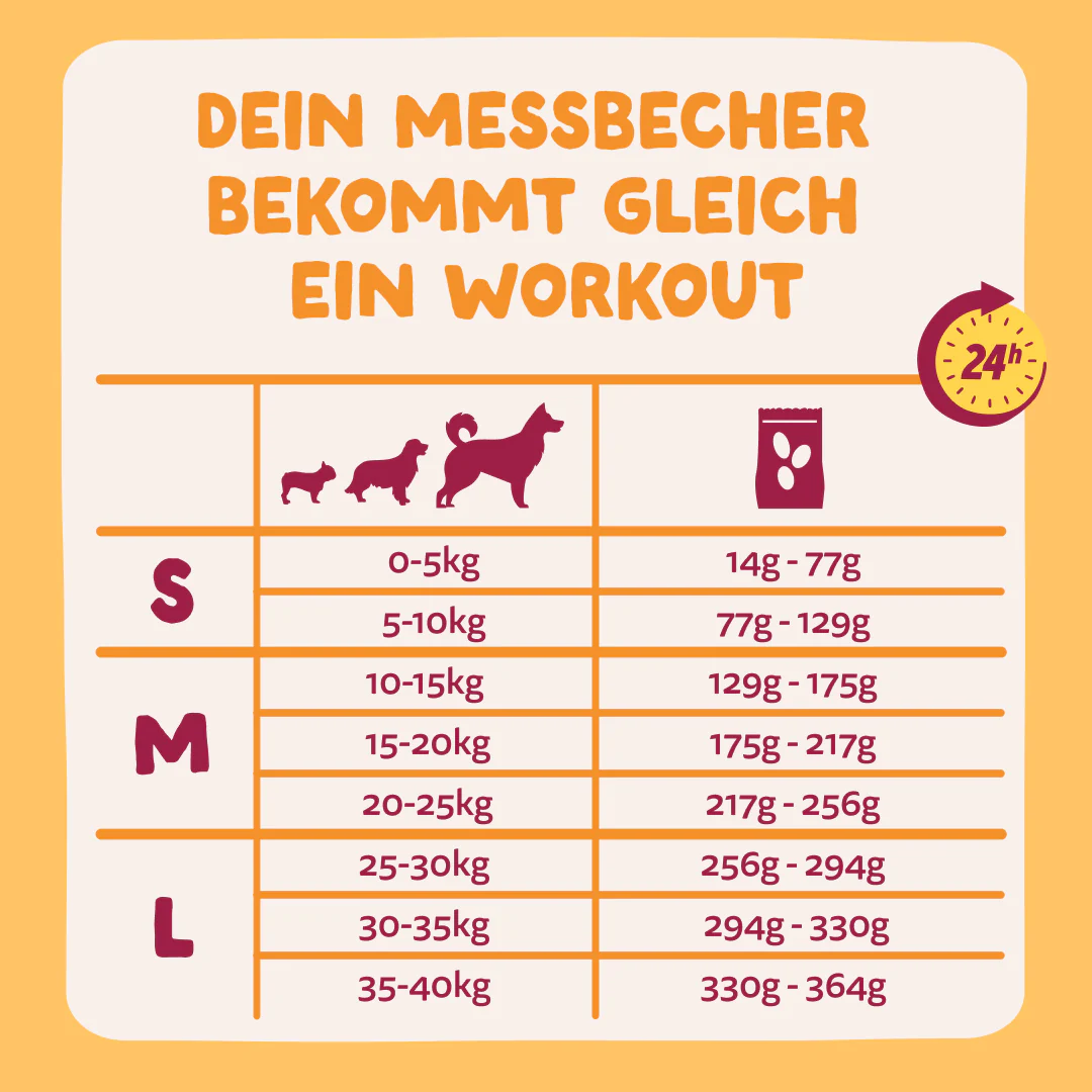 Vorschaubild 11
