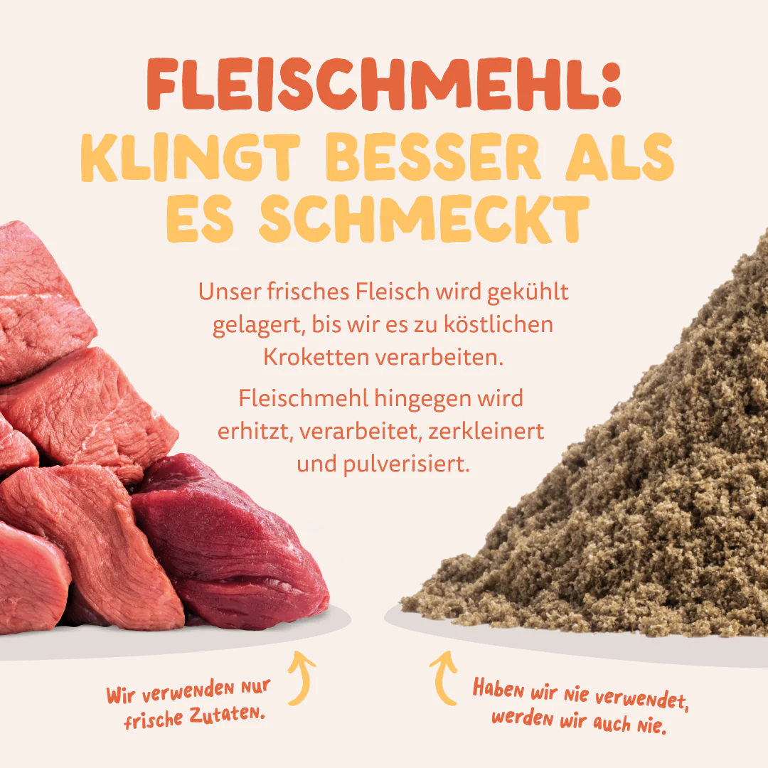 Vorschaubild 13