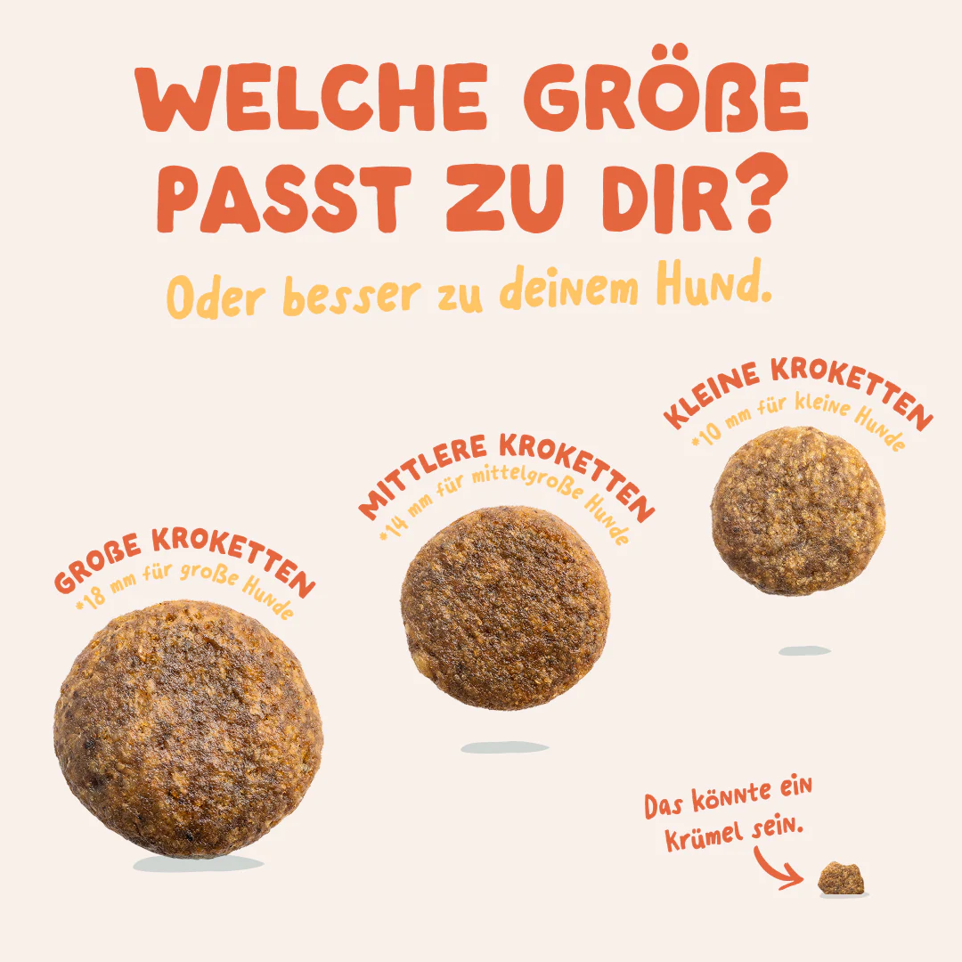 Vorschaubild 7