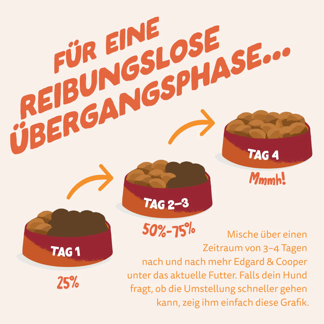 Vorschaubild 8