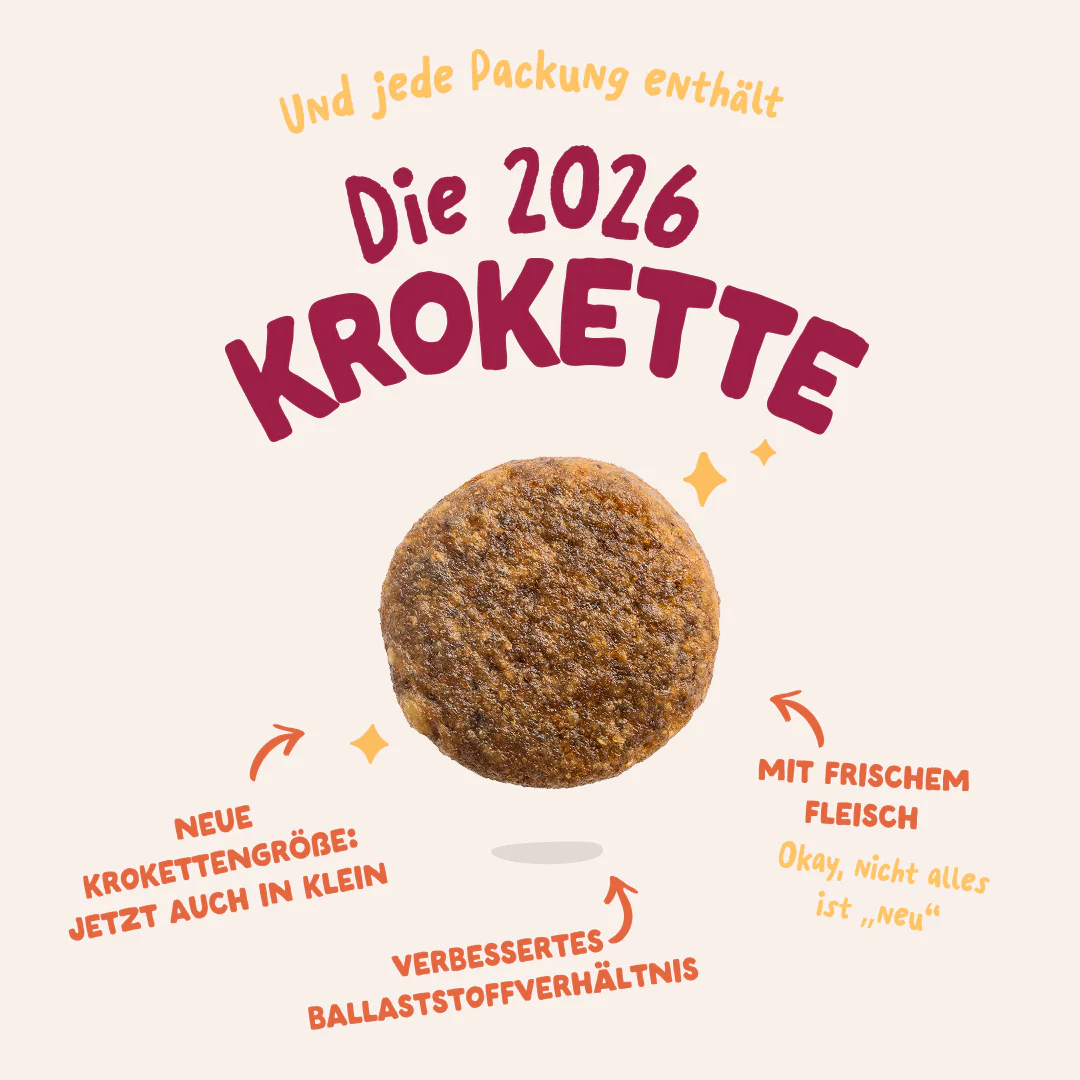 Vorschaubild 10