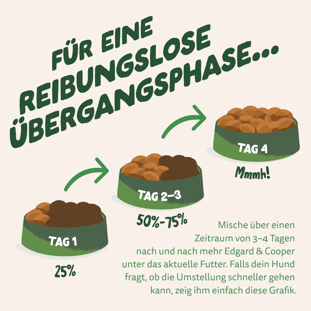 Vorschaubild 8