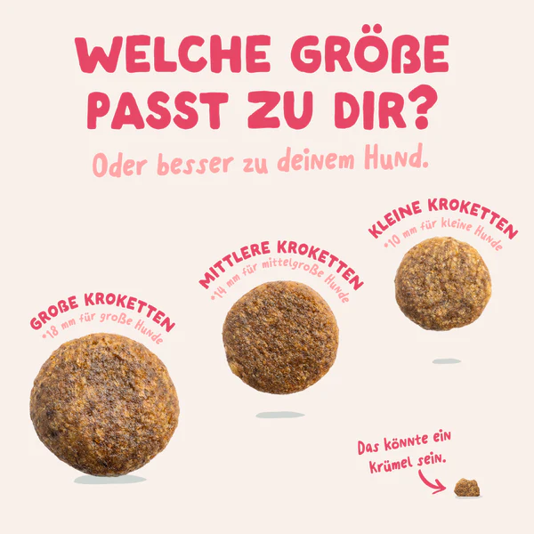Vorschaubild 10