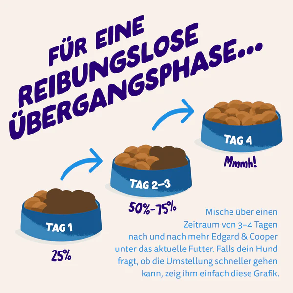 Vorschaubild 9