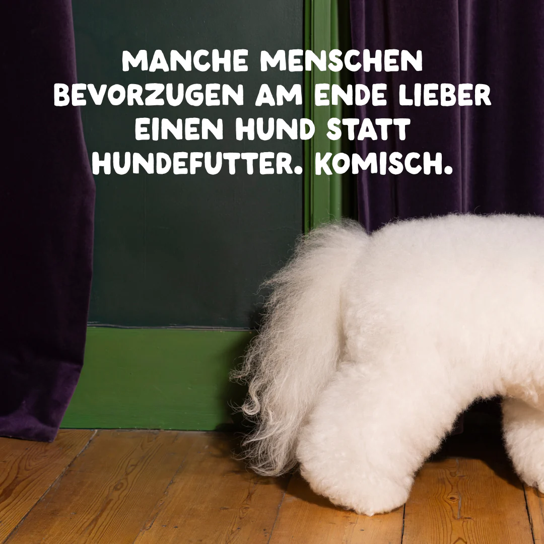 Vorschaubild 11