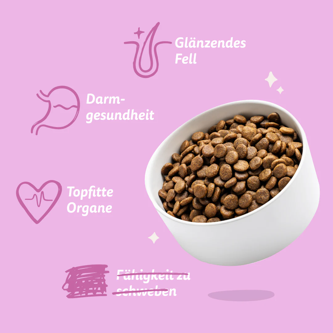 Vorschaubild 7