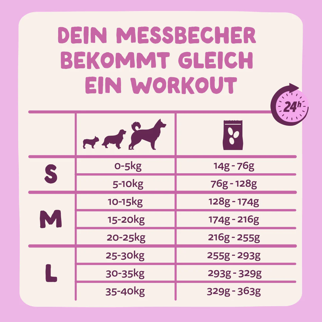 Vorschaubild 8