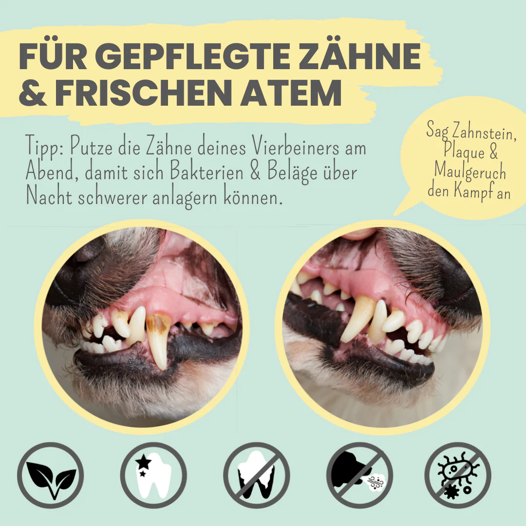 Vorschaubild 5