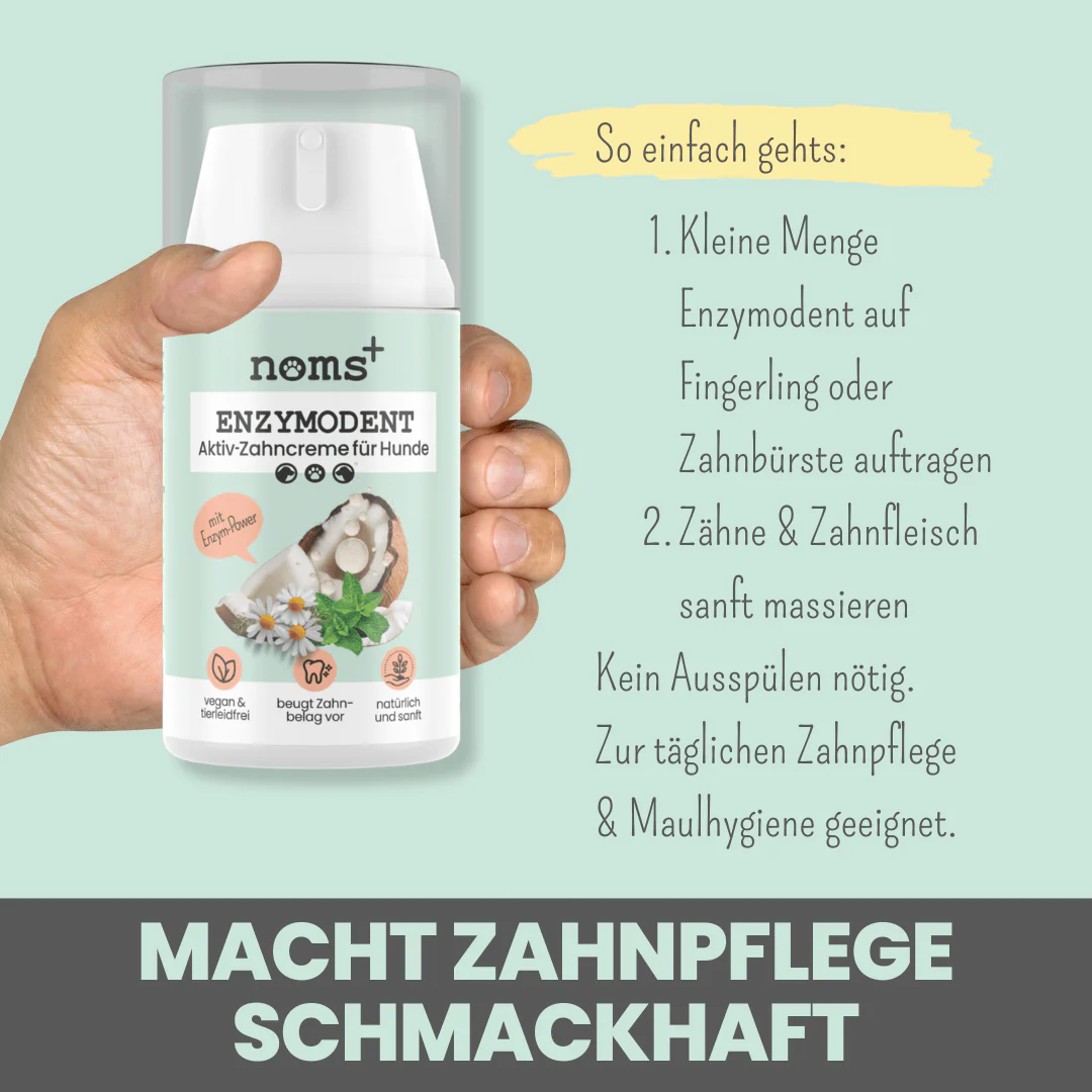 Vorschaubild 7