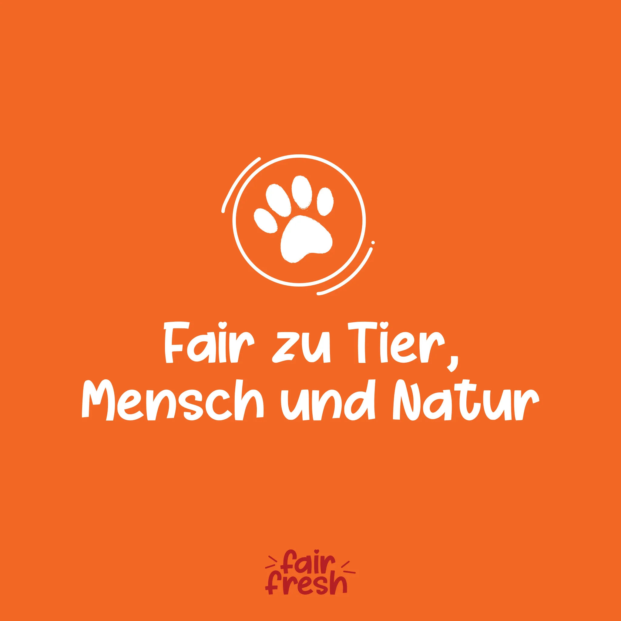 Vorschaubild 9