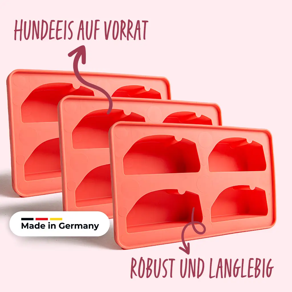 Vorschaubild 12