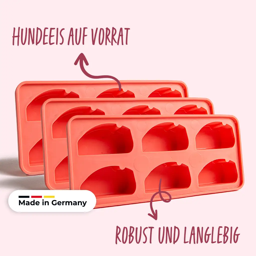 Vorschaubild 6