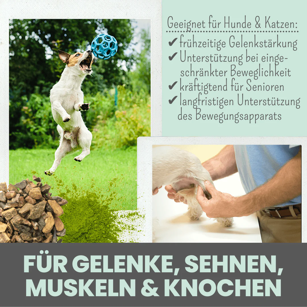 Vorschaubild 3