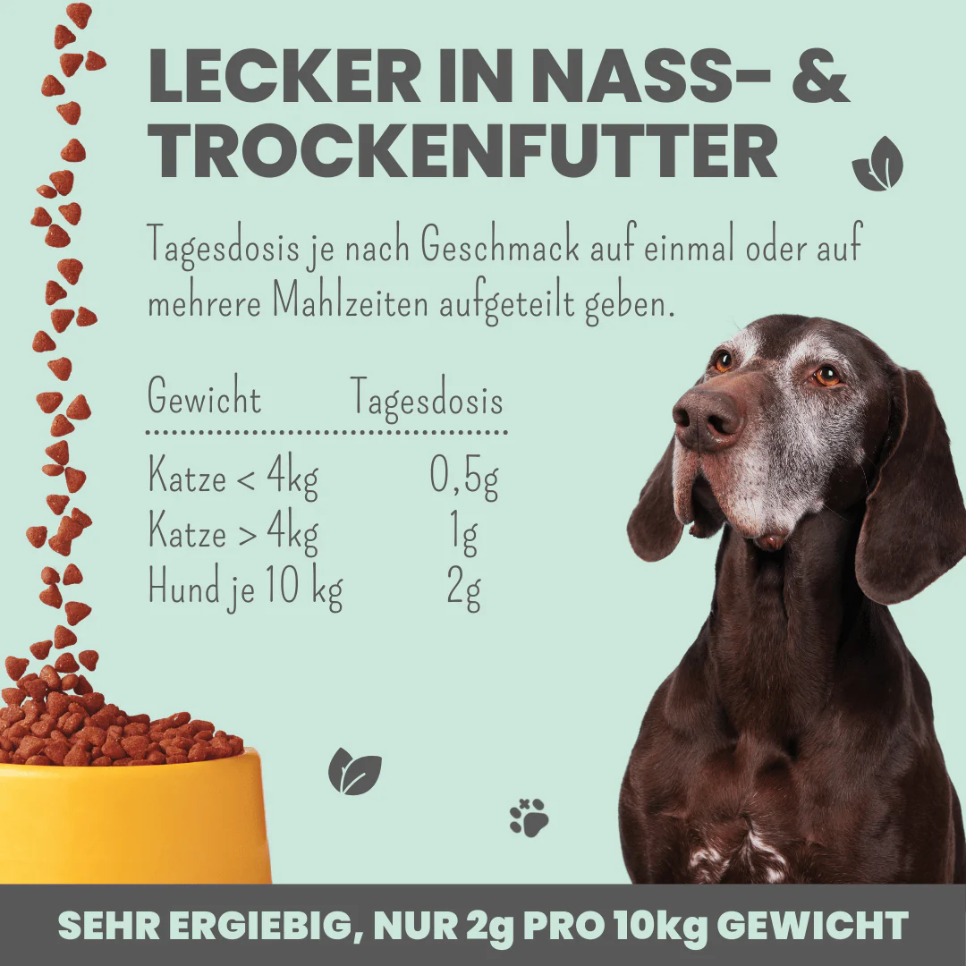Vorschaubild 5