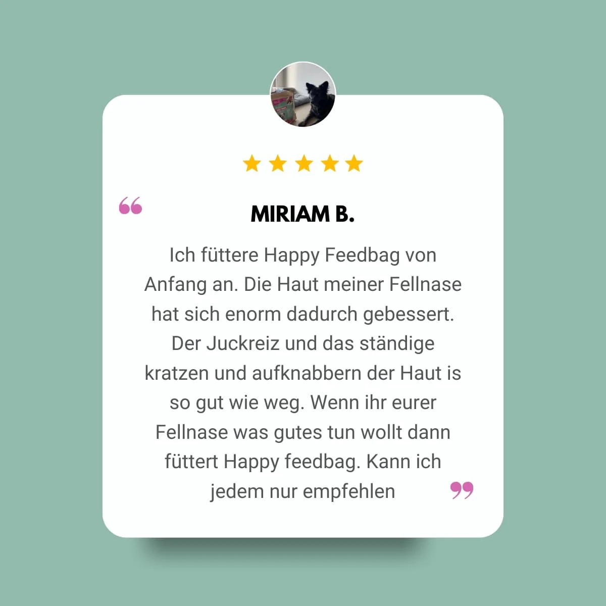 Vorschaubild 4