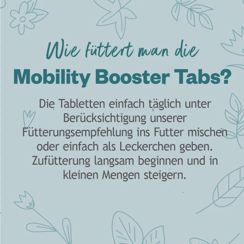 Vorschaubild 6