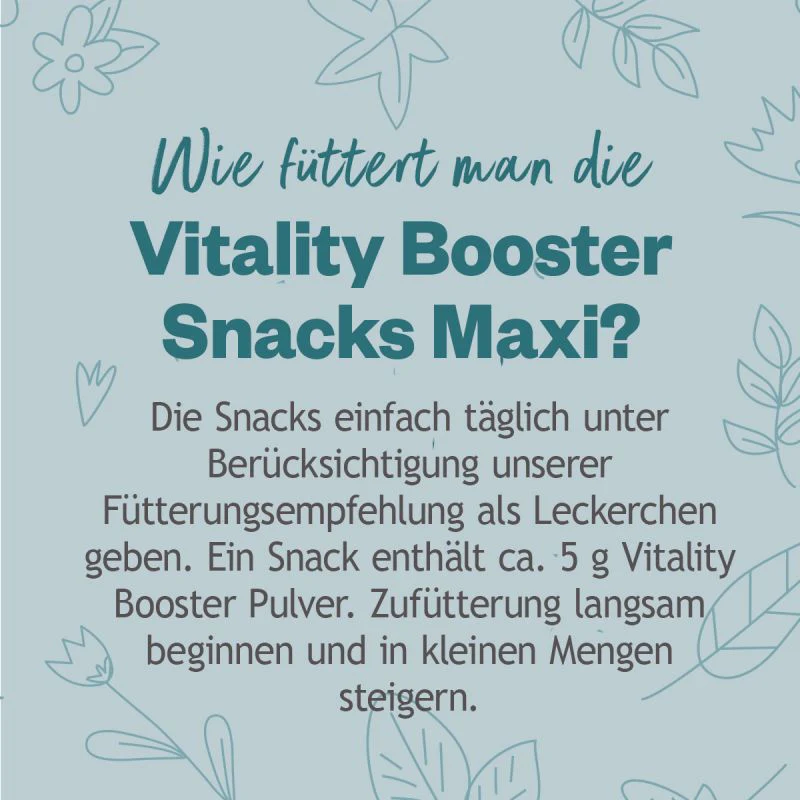 Vorschaubild 8