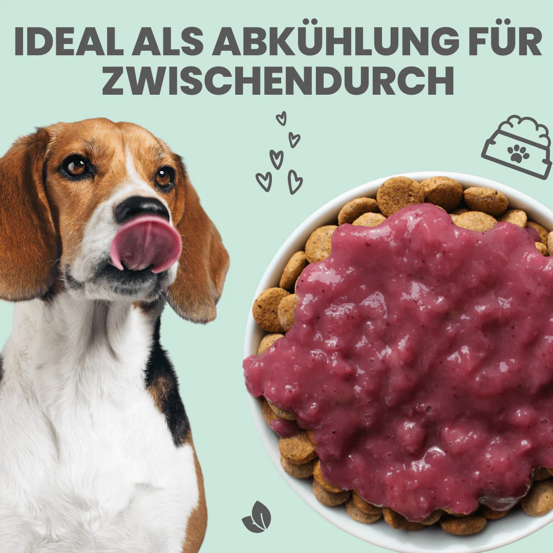 Vorschaubild 4