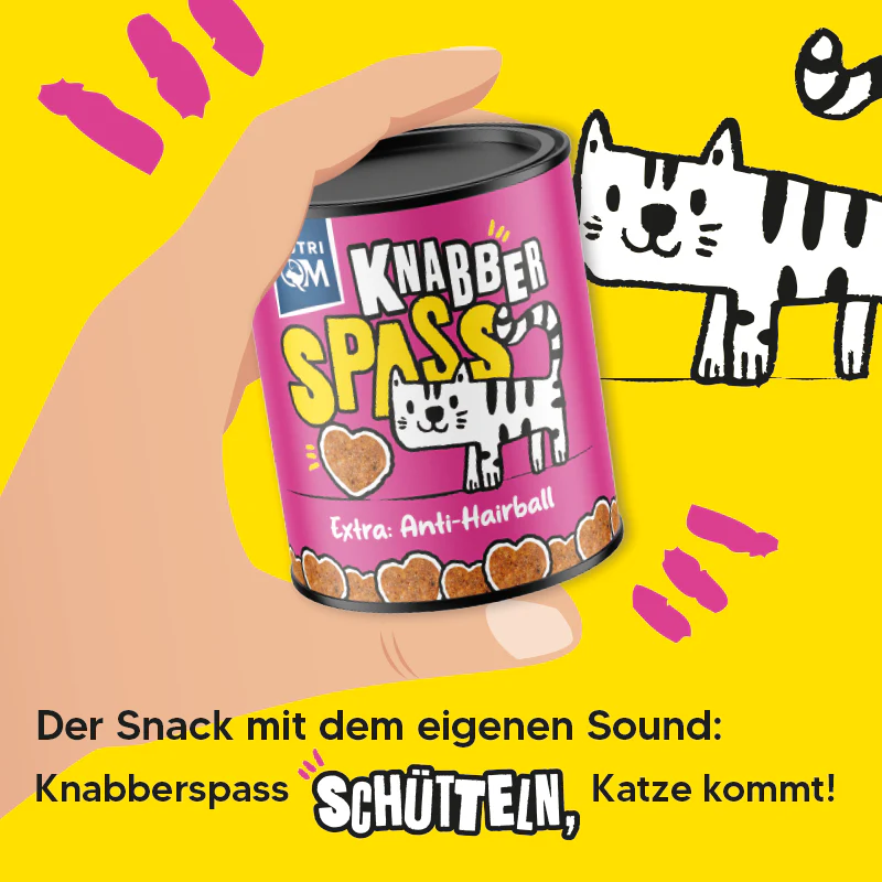 Vorschaubild 3