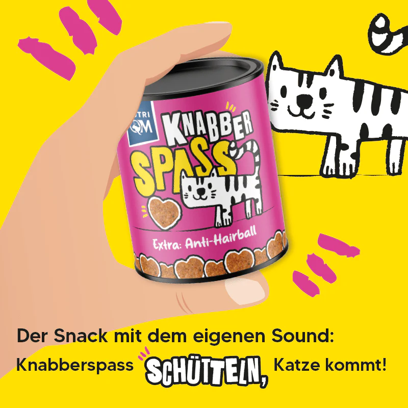 Vorschaubild 3